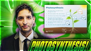 PHOTOSYNTHESIS EXPLAINED GCSE REVISION BIOLOGY KS4 WITH EXAM QUESTIONS [upl. by Yorick]