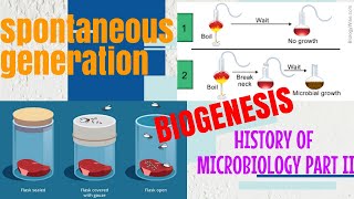 SPONTANEOUS GENERATION IN DETAIL WITH NOTES BIOGENESISEXPLAIN IN  HINDI [upl. by Kynthia508]