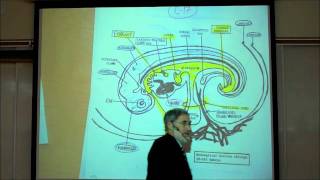 INTRO TO HUMAN EMBRYOLOGY PART 2 by Professor Fink [upl. by Devy]