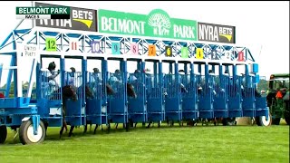 Belmont Stakes 2021 Odds and Positions [upl. by Hannej]