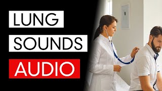 Lung Sounds  Audio COVID19 Pneumonia Included [upl. by Avlis726]