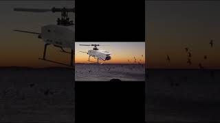 RotorScale AF162 SkyHound 120 Size Gyro Stabilized Helicopter with WiFi Camera  RTF Short [upl. by Iverson961]