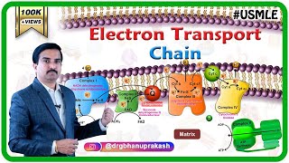 Electron transport chain  ETC  and Oxidative phosphorylation  Biochemistry Dr G Bhanu Prakash [upl. by Iaka]