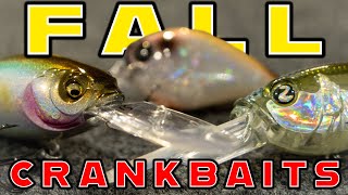 Fall Crankbait Fishing For Bass Everything You Need To Know [upl. by Alasteir]