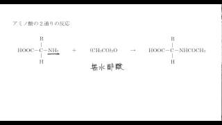 ｢アミノ酸とタンパク質｣講義４：高校化学解説講義 [upl. by Wrightson917]