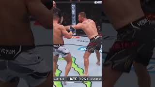 Gaethje Smaking that ufc [upl. by Halimeda]