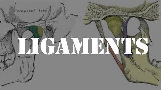 Ligaments of temporomandibular joint [upl. by Atteuqahc]