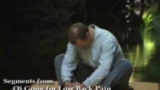 Qi Gong for Low Back Pain with Lee Holden [upl. by Idorb273]