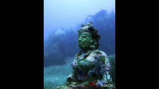 🌹🌻lord Krishna Dwarka under sea status🌻🌹lordkrishnan nature beautiful 4k hd trending ytshorts [upl. by Hedda]