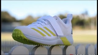 Adidas Adipower Vector Cricket Shoes  Steel Spikes [upl. by Amersham]