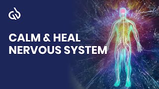 Nervous System Healing Frequency 528 Hz to Calm Nervous System [upl. by Mcmaster]