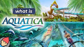 Aquatica Orlando Overview [upl. by Aneled760]