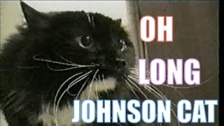 Talking Cat Saying quotOh Long Johnsonquot [upl. by Mihsah382]