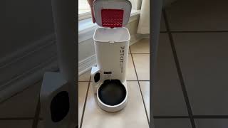 PETKIT Automatic Pet Feeder with HD Camera The GameChanger for Busy Pet Owners [upl. by Sanchez]