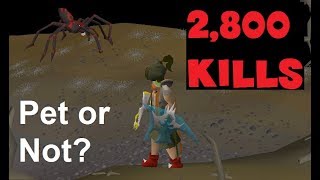 Loot from 2800 Venenatis Kills  Pet or Not OSRS [upl. by Guthrie545]