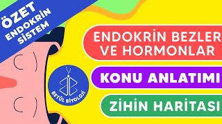 Endokrin Sistem Özet Tekrar  Endokrin Bezler ve Hormonlar  11 Sınıf Biyoloji  AYT Biyoloji [upl. by Rubenstein]