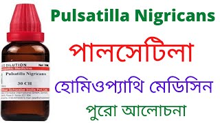 পালসেটিলা Pulsatilla Nigricans Q 30 homeopathic medicine Uses Symptoms amp Benefits periods problem [upl. by Teryl]