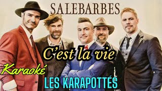 Salebarbes Cest la vie Karaoké [upl. by Loree]