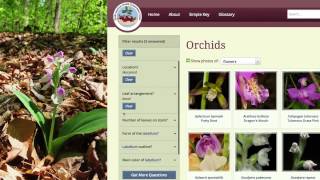 Go Orchids A Guide to Identifying Orchids [upl. by Anastasie]