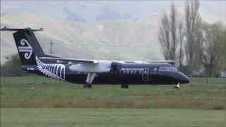 AIR NEW ZEALAND ALL BLACK Dash 8 Q300 Landing Gisborne Airport [upl. by Elaine]