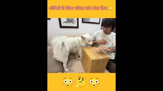 Oreo ke liye Box kisne vej diya 😳 souravjoshivlogs piyushjoshigaming shorts funny [upl. by Randolph]