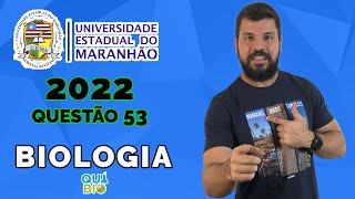 UEMA 2022  Questão 53  A Baixada Maranhense é uma das sete regiões ecológicas do estado do Maranhã [upl. by Aihsot854]