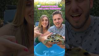 BEAUTY ROUTINE della mia TARTARUGA ACQUATICA🧼🐢🚿 tartaruga beautyroutine turtle tutorial [upl. by Barbi]