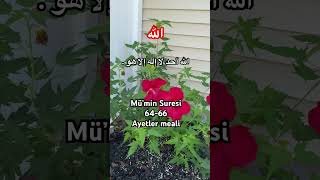 🔥Mü’min süresi 6466 Ayetler mealitrending kuran quran الله yaallahﷻ shortsvideo shortvideo [upl. by Guyer]