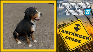 LS22 Anfänger Guide 🤠 Hund  Farming Simulator 22 [upl. by Eirdua]