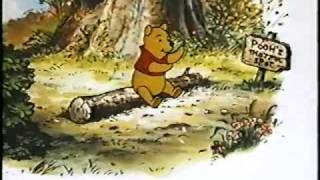 Opening to Winnie the Pooh and Tigger Too 1994 VHS Print Date Jan 30th 1995 [upl. by Adikam970]