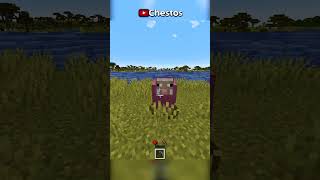 Minecraft Dar Am Un Singur Loc in Inventar [upl. by Daisi]