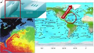 Surface Currents [upl. by Gabor174]