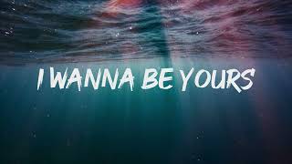 Arctic Monkeys  I Wanna Be Yours Lyric [upl. by Mellisa32]