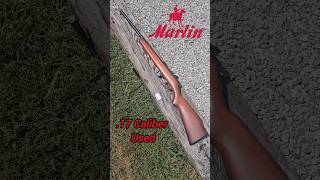 This Used Marlin 17 cal Rifle would make a great First Rifle for any youngster  Marlin 17cal [upl. by Freud]