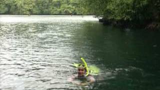 Jellyfish Lake Palau Rock Island by Asiatravelcom [upl. by Yemac]