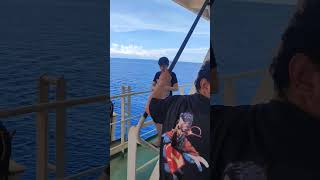 seafarer lyrics vlog [upl. by Esten]