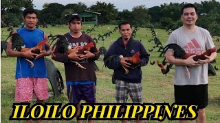 Iloilo Philippines Gilmore Hatch Kelso Jub Farm [upl. by Oiramel]