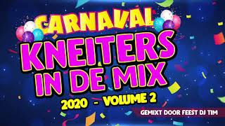 Kneiters In De Mix Vol 2 Carnaval 2020  Feest DJ Tim [upl. by Arbe]