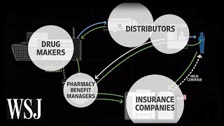 How Drug Prices Work  WSJ [upl. by Arramas]