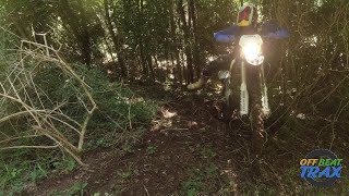 2023 SHERCO 300 AND 2024 KTM 300 EXC HITTING THE FRESH STUFF pt1 [upl. by Hubey683]