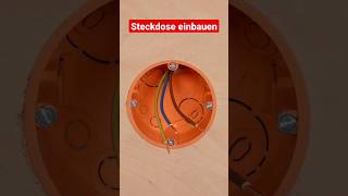 Steckdose einbauen shorts steckdose elektronik [upl. by Cortney253]