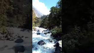 Langtang Trek Langtang River intrekking Langtang trekkings hikinginnepal travel helicopter [upl. by Akinirt]