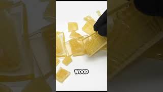 Transparent Wood explained [upl. by Merle31]