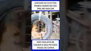 CARAMELO VIRALIZA BALANÇANDO NO PNEU 😂😂😂😂😂😂 [upl. by Atiragram]