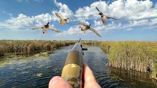 SOLO Tiny Water PUBLIC LAND Duck Hunting LIMITED OUT [upl. by Lura]