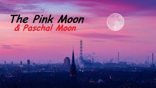 The Pink Moon  April Full Moon  Paschal Moon  Full Moon [upl. by Htennaj897]