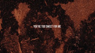 Hozier  Too Sweet Official Lyric Video [upl. by Deppy]