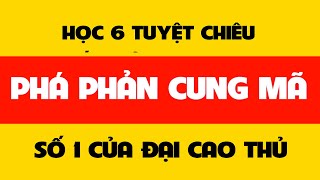 Thạo 06 Bí Kíp PHÁO ĐẦU Phá PHẢN CUNG MÃ Hay Nhất Của Các Đại Danh Thủ [upl. by Marthena]