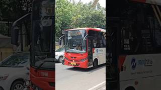 Minitrans TSW045 transjakarta busway shorts [upl. by Frere914]