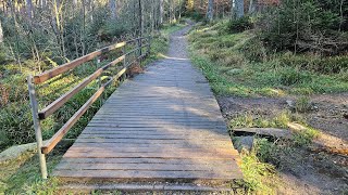 Wanderung auf dem Limeserlebnispfad 22 [upl. by Eitsyrhc609]